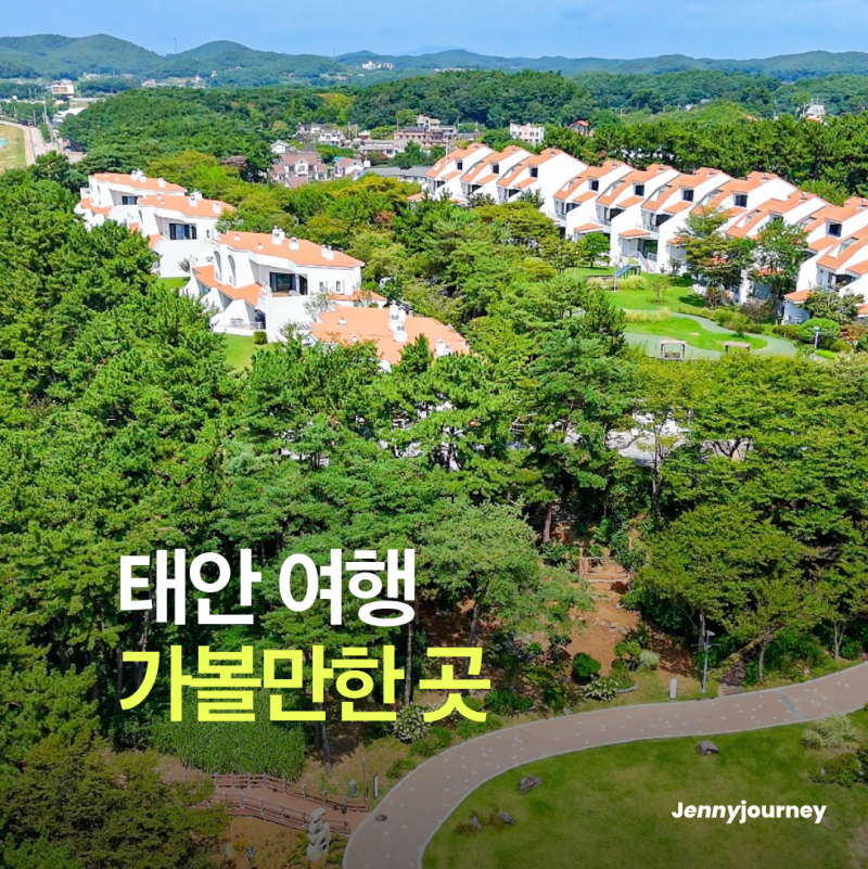 아이와 가을 국내여행 추천 태안 가볼만한 곳 숙소 추천 (지도 공유)