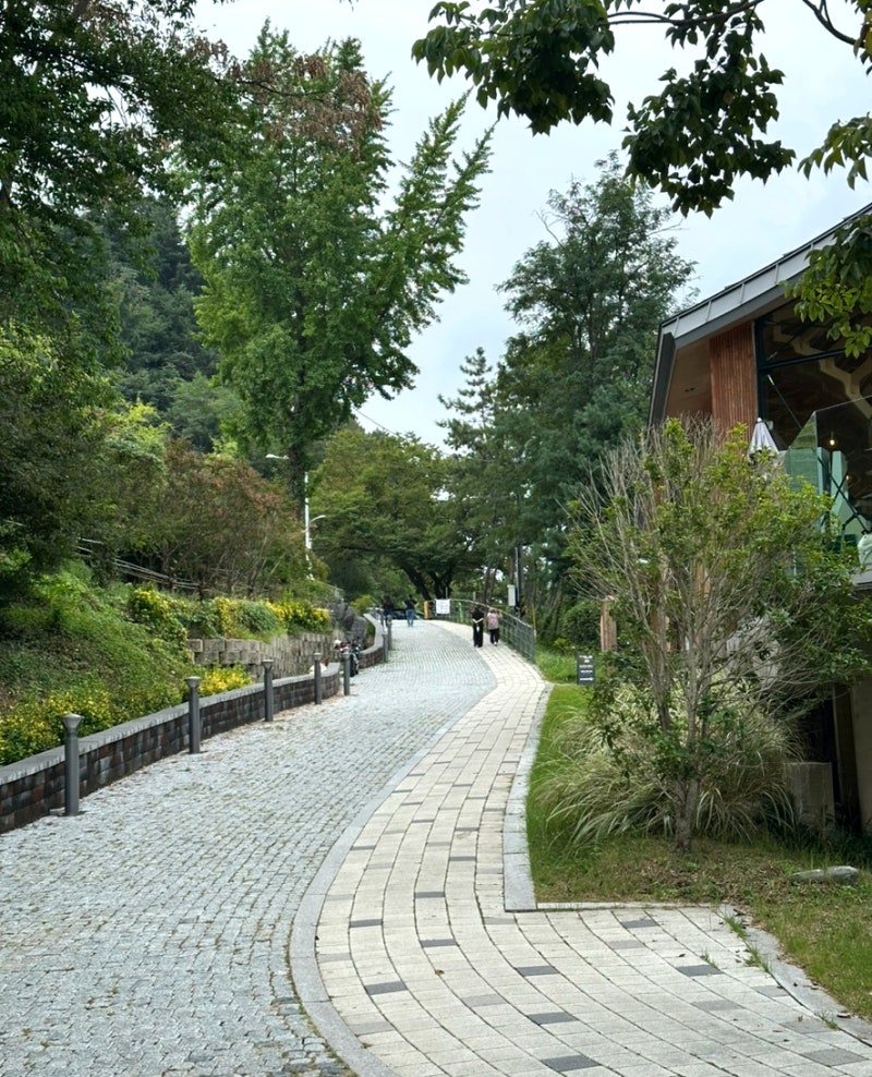 진주 유람선 김시민호 사전예매 필수 팁! 1호선 2호선 차이부터 주차장 위치까지