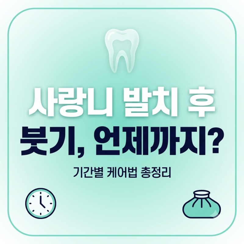 사랑니 발치 후 통증과 붓기, 기간별 완벽 케어법