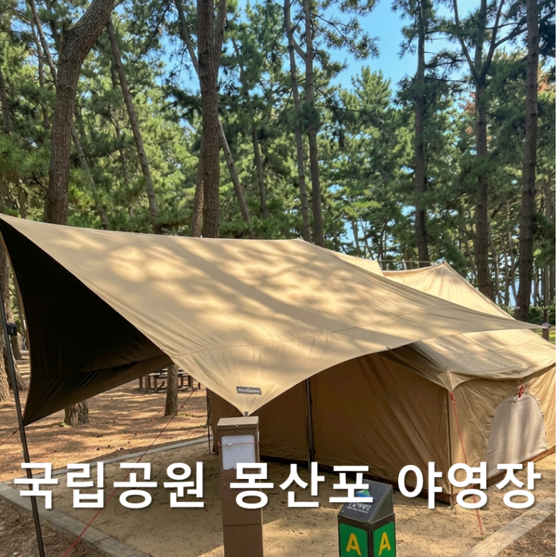 [태안 캠핑장] 국립공원 몽산포 야영장 내돈내산 솔직 후기! 예약 방법, 가격, 명당 추천, 편....