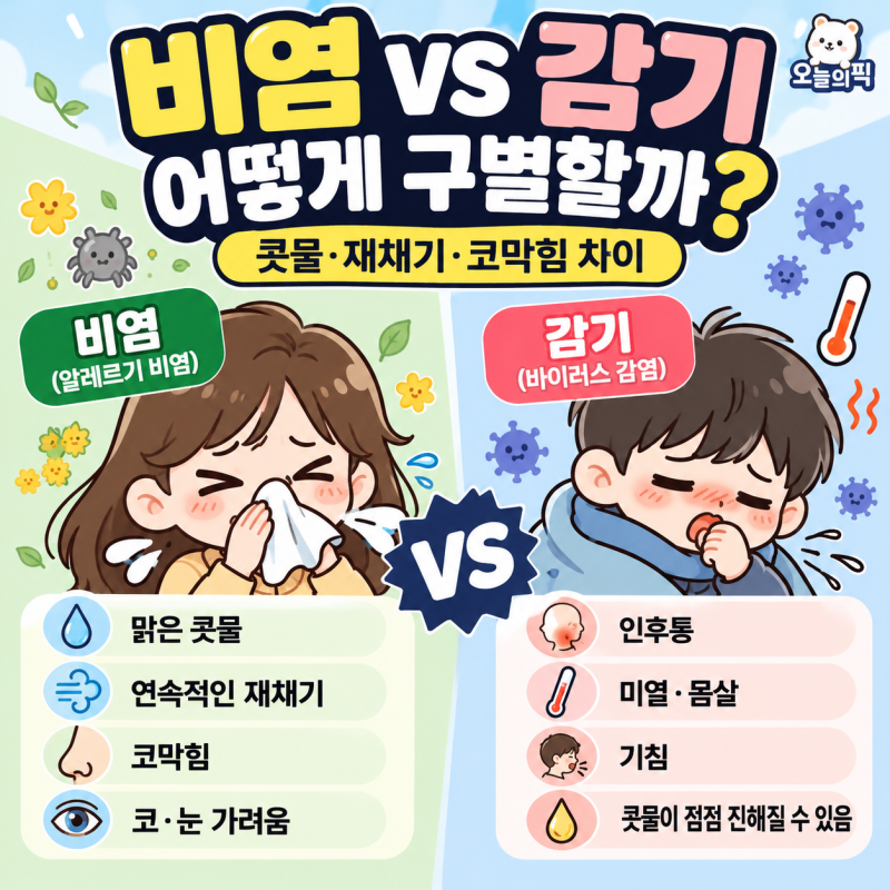 비염 감기 차이 어떻게 알까? 콧물·재채기·코막힘으로 구별하기