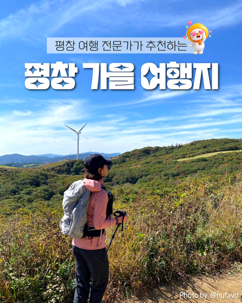 평창 여행 전문가가 추천하는 평창 가을 여행지