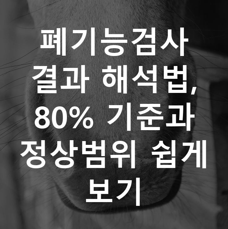 폐기능검사 결과 해석법, 80% 기준과 정상범위 쉽게 보기