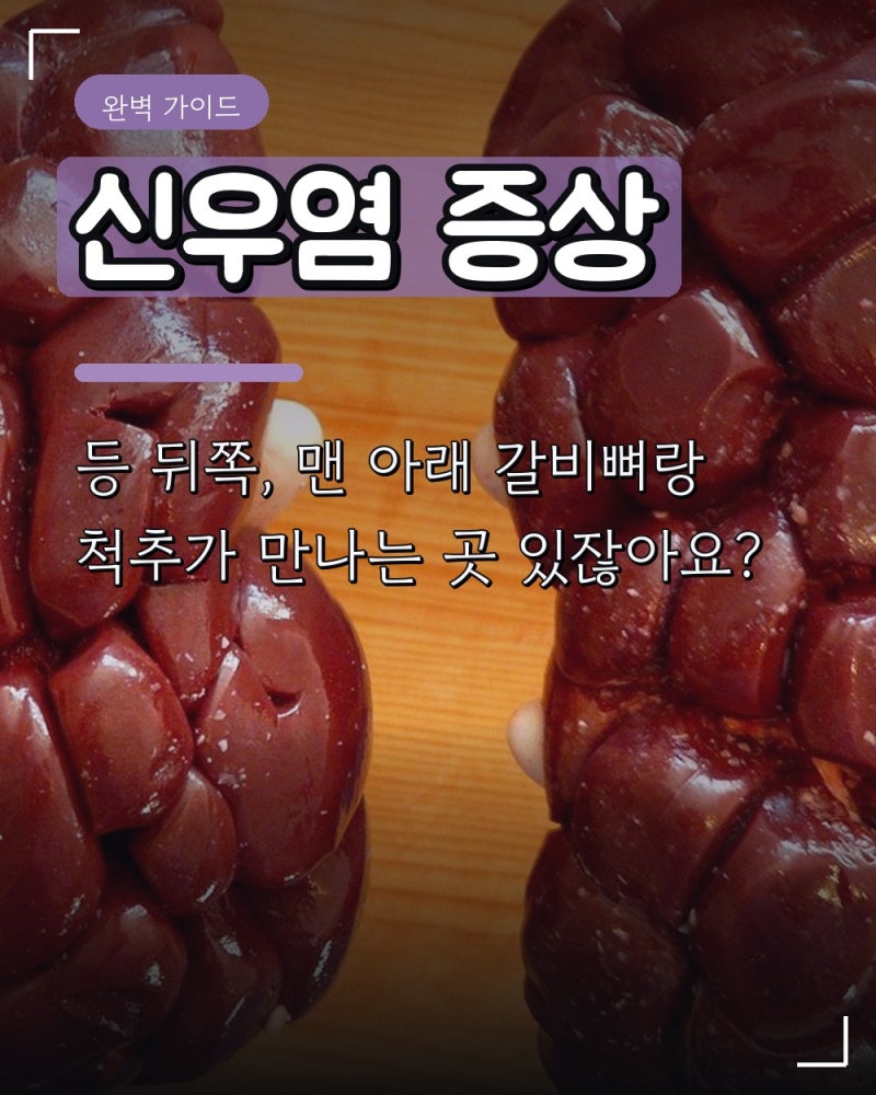 신우염 증상