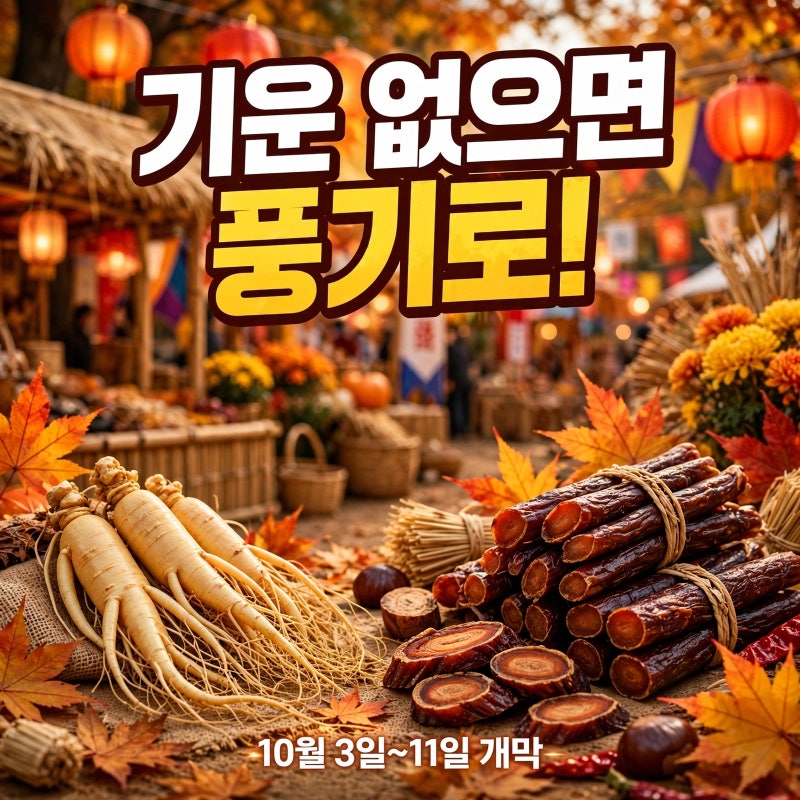 풍기인삼축제 9일간 완전정리