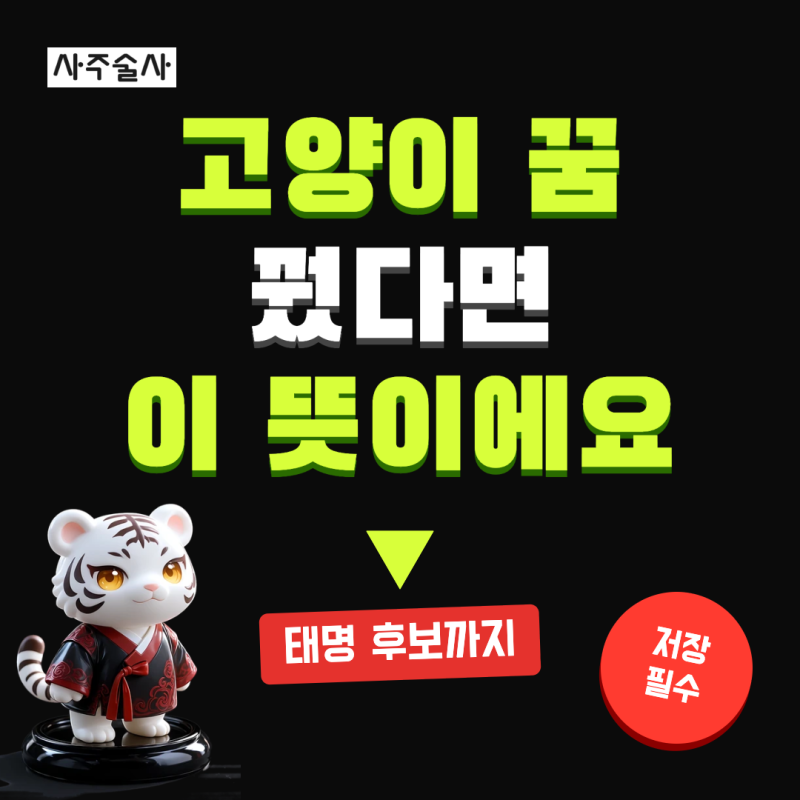 고양이 태몽 뜻, 아들딸 속설부터 장면별 풀이와 태명까지