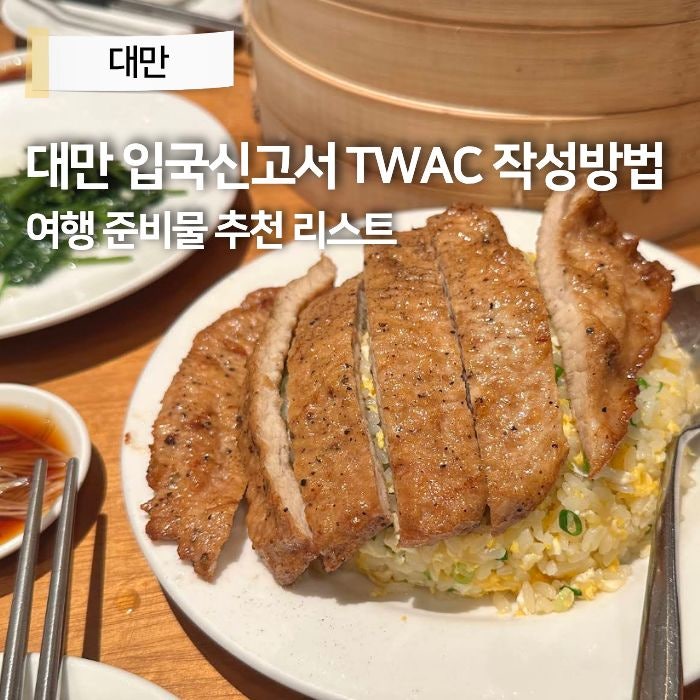 대만 입국신고서 TWAC 작성 방법 온라인 등록 직업 회사원 대만 여행 준비물 이심 eSIM 추천