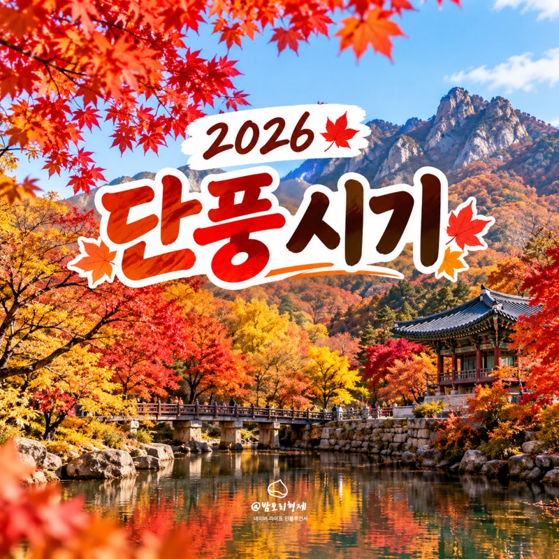 2026 단풍시기 언제? 설악산부터 서울까지 가을 단풍 명소 정리
