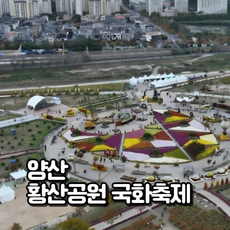 2026 양산국화축제 일정｜양산 황산공원 국화축제·에그야 페스타 날짜·프로그램