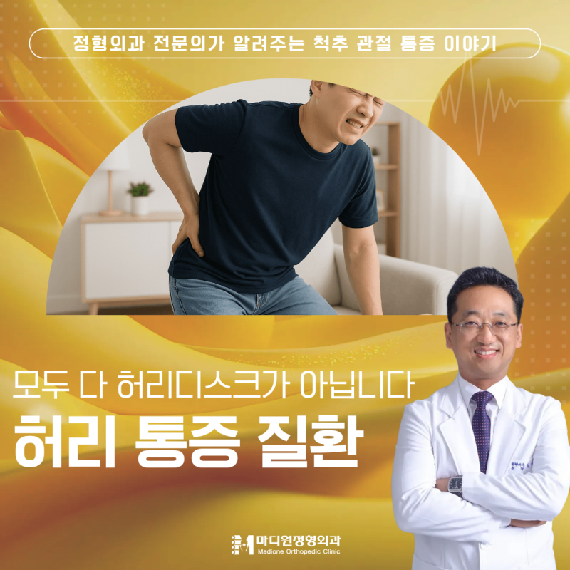 하안동 정형외과 허리 통증, 모두 허리디스크일까요? 허리디스크와 비슷한 질환들과 비수술 ....
