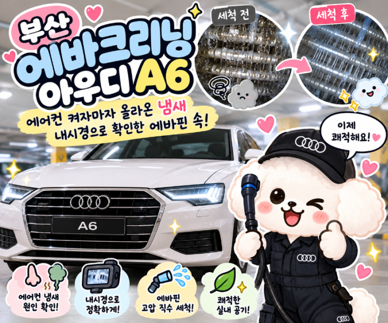 부산에바크리닝 아우디 A6, 에어컨 켜자마자 올라온 냄새 내시경으로 확인한 에바핀 속
