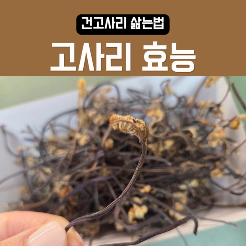 건고사리 삶는법과 고사리 효능 알고 먹기
