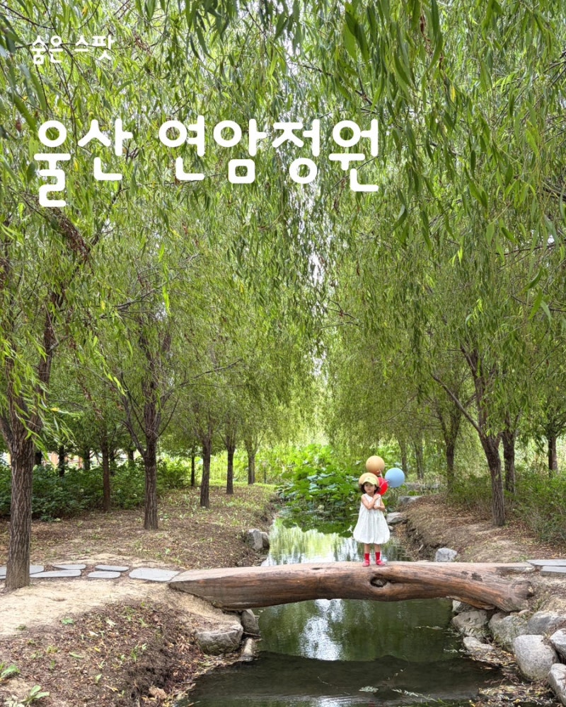 울산 연암 정원｜아이 사진 찍기 좋은 울산 사진 스팟