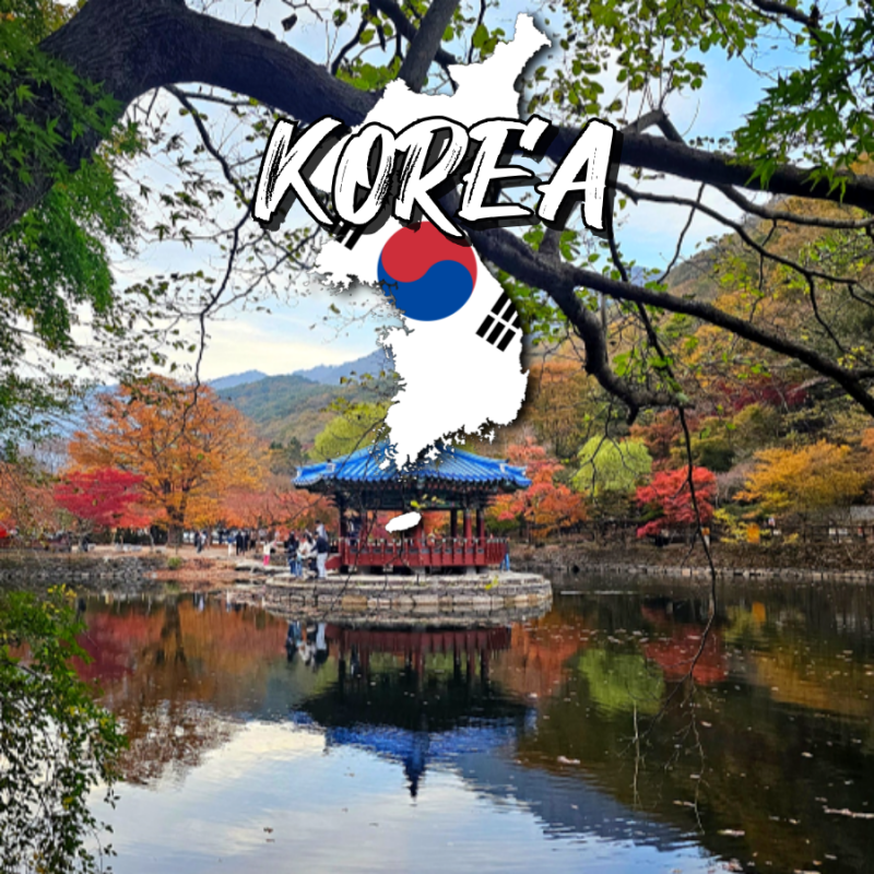 11월 국내 단풍명소 추천 정읍 내장산 단풍터널 가볼만한곳