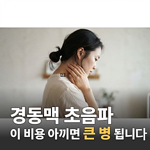 경동맥초음파검사 50대 필수! 어지러움 손발저림  비용 실비 IMT 수치 이해하기