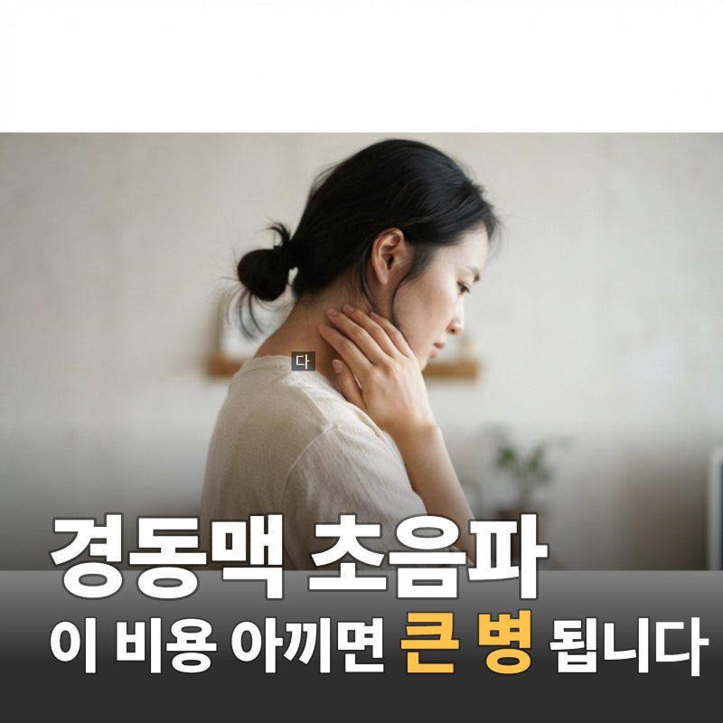 경동맥초음파 건강검진 앞둔 4050대 어지럼증, 검사 비용 차이와 실비 보험 청구방법