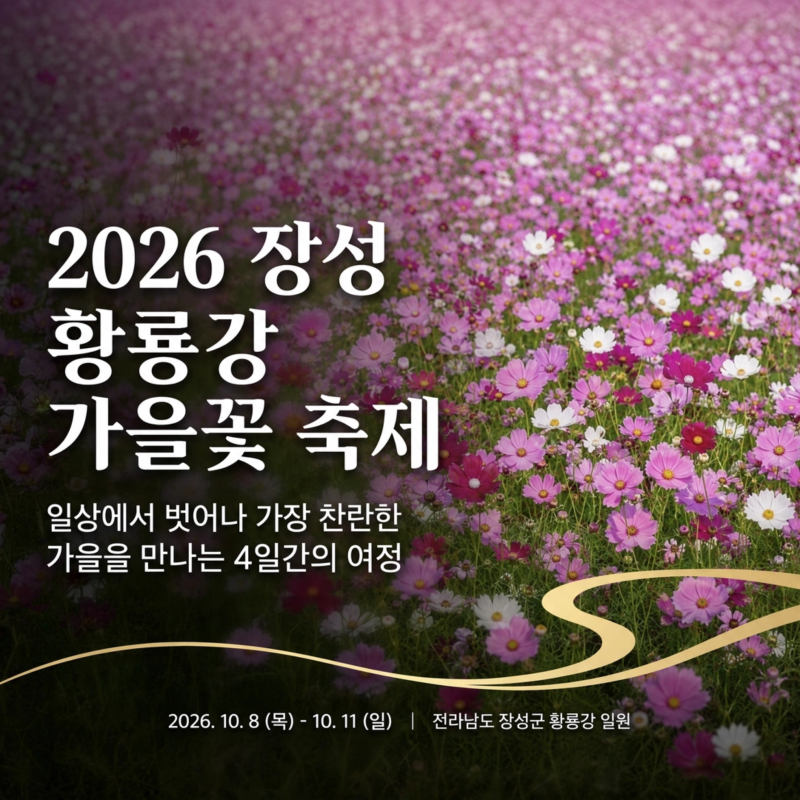 2026 장성 황룡강 가을꽃 축제 일정, 가수 라인업, 불꽃놀이 명당 총정리