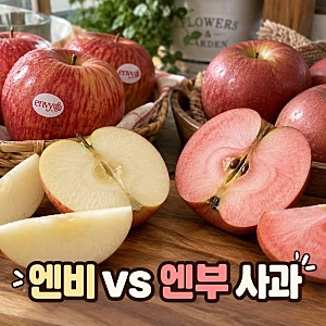 엔비사과 엔부사과 뜻과 출하시기 맛 장점