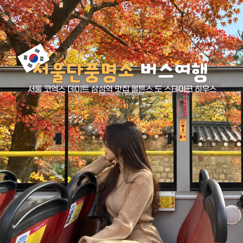 서울 단풍명소! 서울 시티투어버스 나들이 서울 혼자 여행 코스 추천