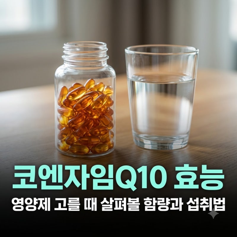 코엔자임Q10 효능 영양제 고를 때 살펴볼 함량과 섭취법