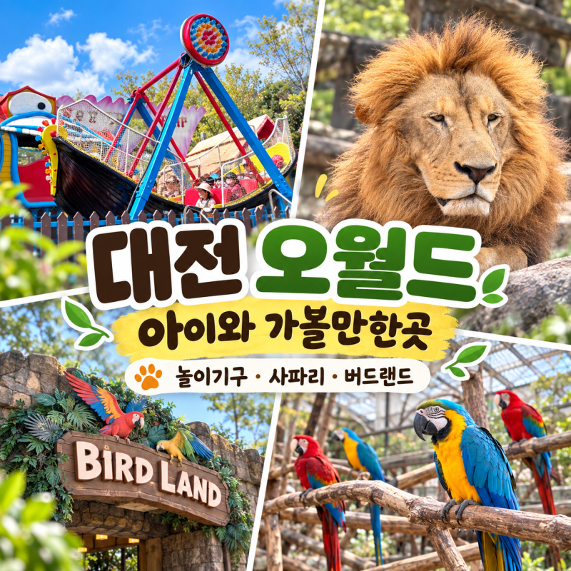 대전 오월드 아이와 가볼만한곳 - 놀이기구,사파리,버드랜드까지 하루코스(소소한 팁 방출!!)