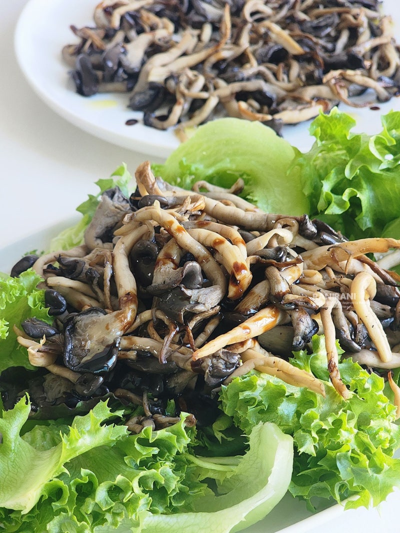 구웠더니 더 맛있는 느타리 버섯 요리 느타리버섯구이 구운버섯 샐러드