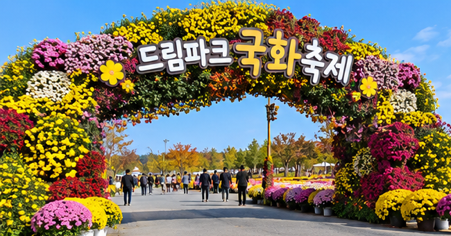 2026 드림파크 국화축제 일정｜아이와 가기 좋은 인천 10월 축제