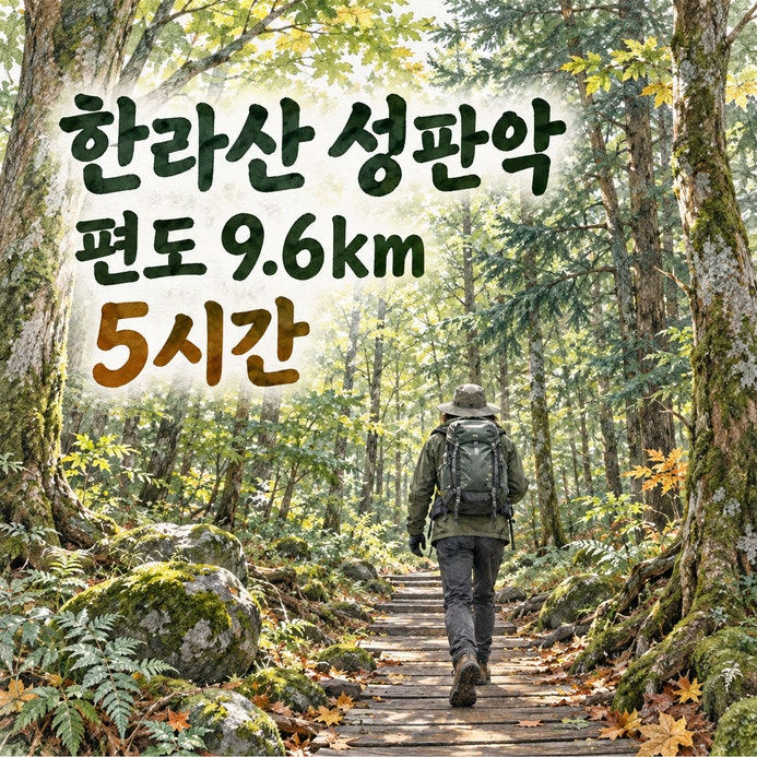 한라산 성판악 코스, 속밭·사라오름입구·진달래밭 구간별 거리와 시간 편도 9.6km 5시간