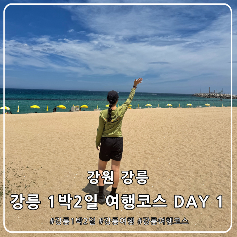 강릉 1박2일 여행코스 | 중앙시장 먹거리부터 안목해변까지 뚜벅이 DAY1