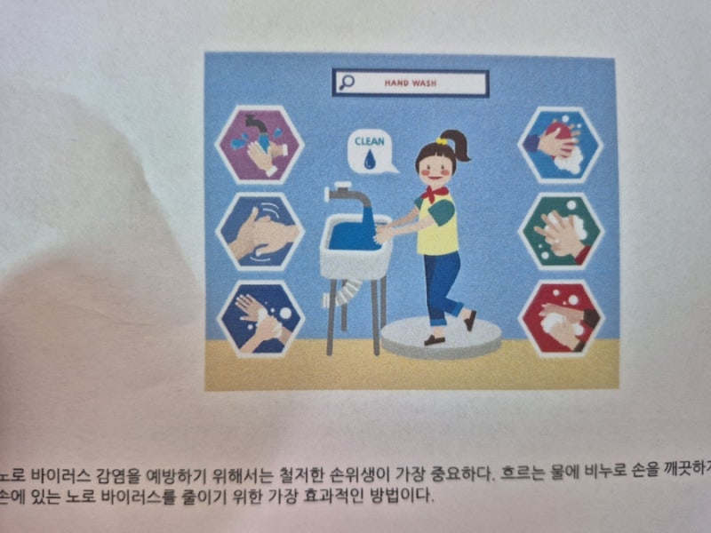 노로바이러스 유행?! 증상 치료 약