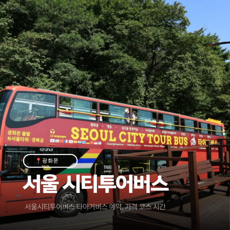 서울시티투어버스 타이거버스 예약·가격, 코스·시간부터 10월 좀비어택까지