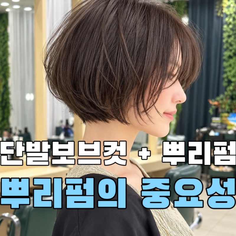 광교미용실 | 중년 단발보브컷 뿌리 볼륨이 중요한 이유는? 뿌리펌의 중요성!