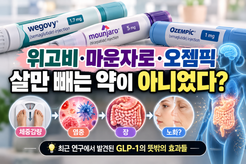 [건강·의학 이야기] 마운자로·위고비·오젬픽, 살만 빼는 약이 아니었다? 노화·대장염부터 ....
