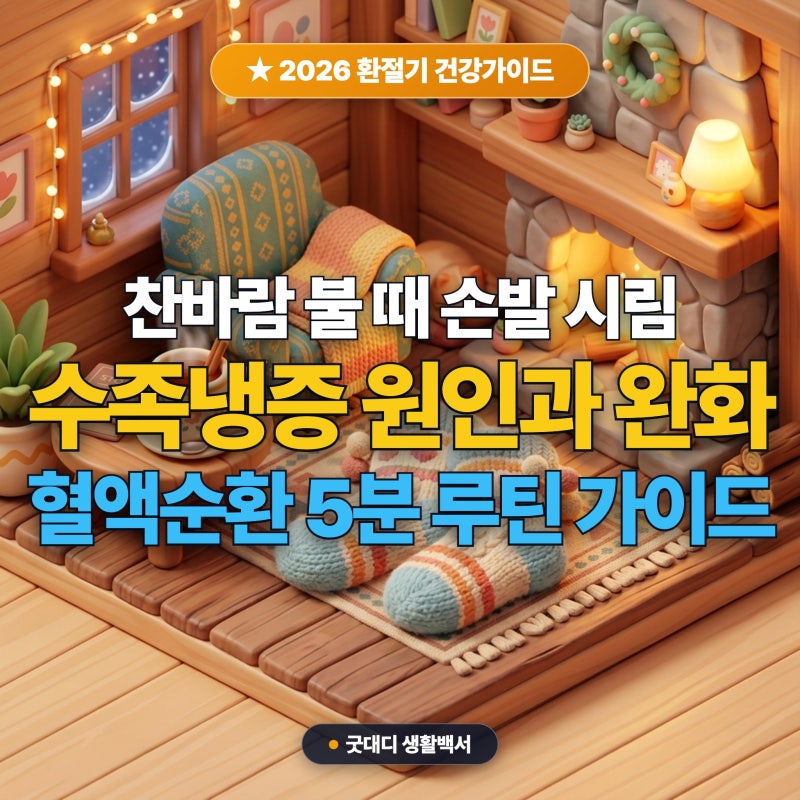 2026 환절기 손발 차가움 수족냉증 원인과 혈액순환 개선 영양제 팁