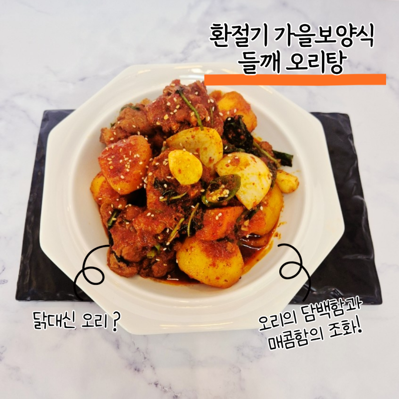 환절기 보양식 들깨오리탕 만들기 오리 한마리 푸짐하게 끓이는 법