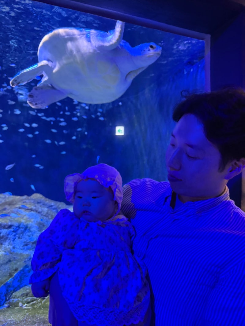 [아기랑 아쿠아플라넷] 오픈런한 4개월 아기와 광교 아쿠아플라넷 솔직후기! 네이버 예약 할....