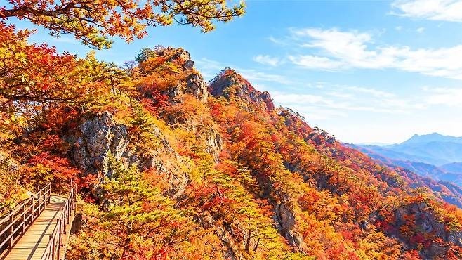 [감탄 연발] 남들 모르는 올가을 단풍 명소, 설악산보다 웅장한 충청권 비경 3선