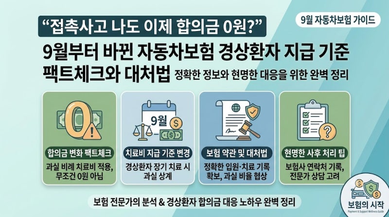 "접촉사고 나도 이제 합의금 0원?" 9월부터 바뀐 자동차보험 경상환자 합의금·치료비 지급 기....