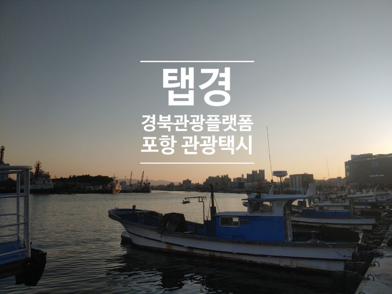 [탭경]경북관광플랫폼/포항 관광택시/4개국 다국어서비스/마이스모어