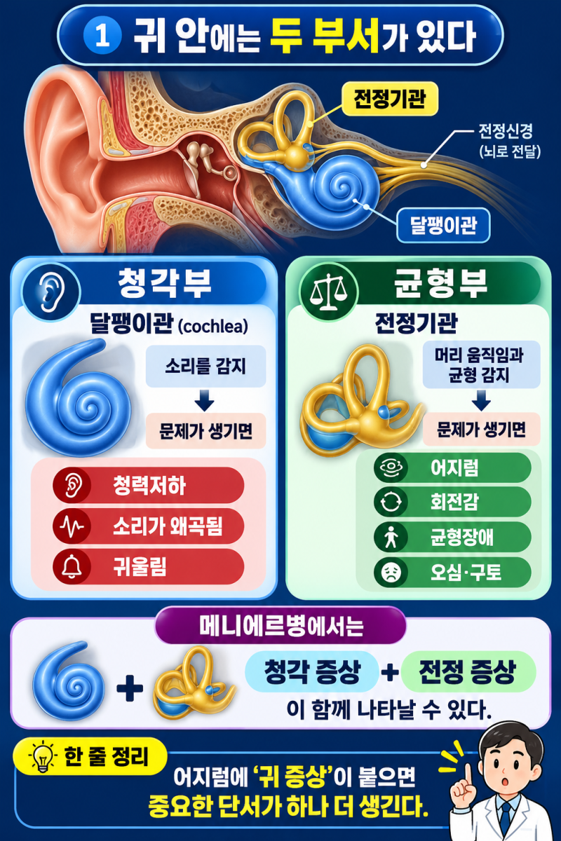 어지럼증 시리즈 4. 어지럽고 귀가 먹먹하다 — 메니에르병과 귀 질환