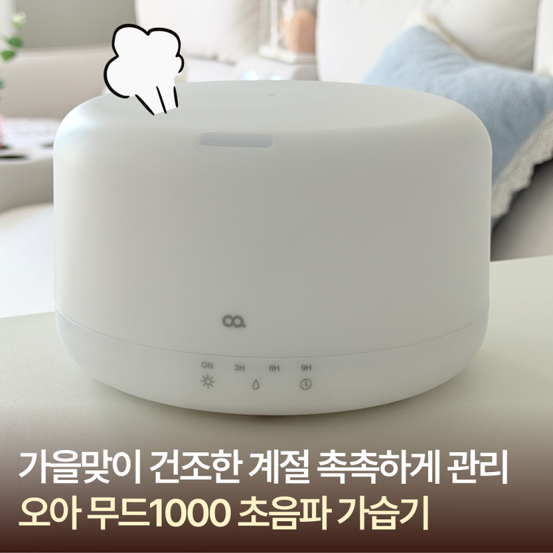 오아 무드1000 미니 초음파 가습기 건조한 계절 촉촉하게