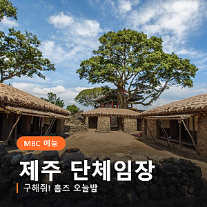 영탁·스테이씨 윤까지 떴다, 구해줘 홈즈 제주 단체임장 오늘밤