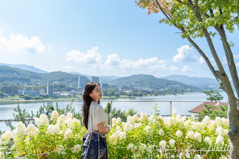 楊平必訪景點兩水頭 約會咖啡廳九벼울