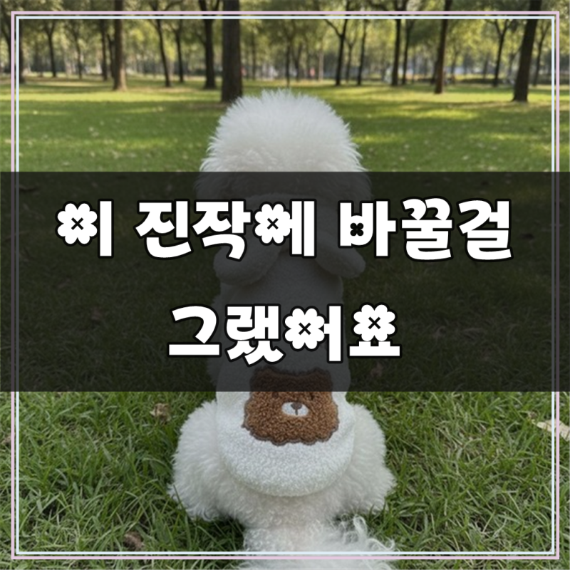 반려동물 포근 곰돌이디자인 뽀글 후드 티 강아지후드티 반려동물후드티 강아지옷
