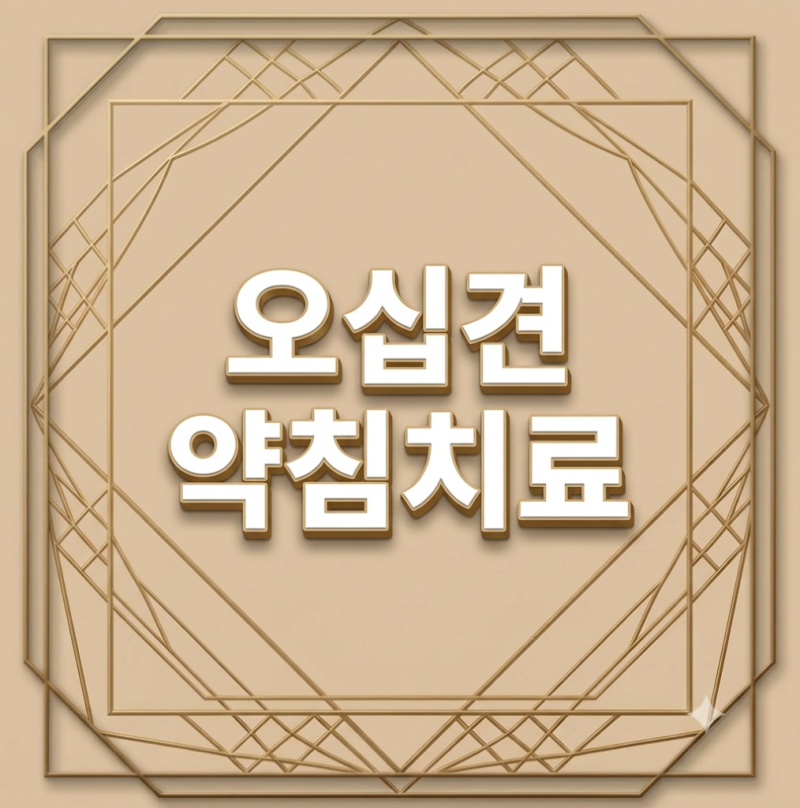 오십견(유착성 관절낭염), 시기마다 해야 할 운동이 다릅니다.