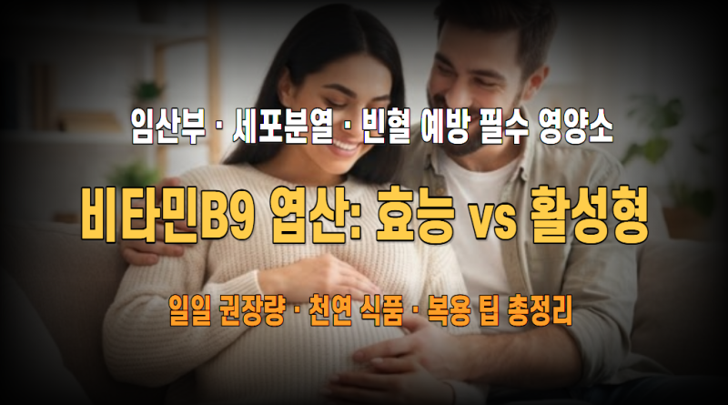 비타민B9(엽산) 완전 정복: 임산부·세포분열·빈혈 예방을 위한 핵심 가이드
