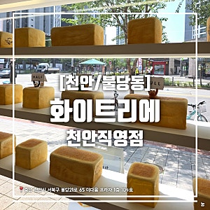 [천안/불당동] 부드러운 프리미엄 생식빵 맛집 화이트리에 천안직영점