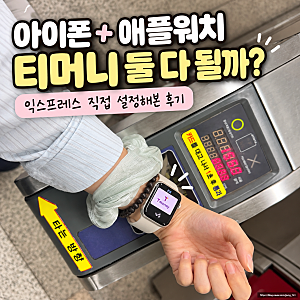 아이폰 애플워치 티머니 동시 사용, 익스프레스 둘 다 될까?
