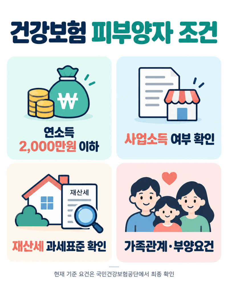 연소득 2000만원 건강보험 탈락?건강보험료 피부양자 조건과 지역가입자 전환 기준