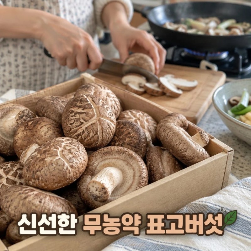표고버섯 추천 하진이네 표고버섯 국내산 무농약 산지직송 추천
